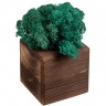 Декоративная композиция GreenBox Fire Cube, бирюзовый - 
