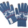 Сенсорные перчатки Raindeer, синие - 