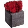 Декоративная композиция GreenBox Black Cube, красный - 