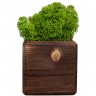 Декоративная композиция GreenBox Fire Cube, зеленый - 