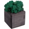 Декоративная композиция GreenBox Black Cube, бирюзовый - 