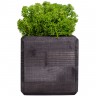 Декоративная композиция GreenBox Black Cube, зеленый - 