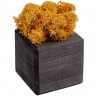 Декоративная композиция GreenBox Black Cube, желтый - 