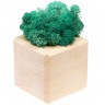 Декоративная композиция GreenBox Wooden Cube, бирюзовый - 