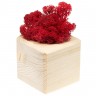 Декоративная композиция GreenBox Wooden Cube, красный - 