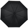 Зонт складной Monsoon, черный - 