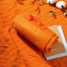 Плед для пикника Comfy, оранжевый - 