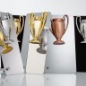 Награда Triumph Bronze - 