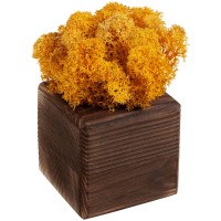 Декоративная композиция GreenBox Fire Cube, желтый