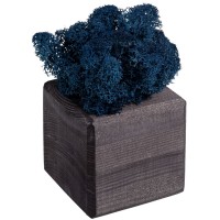 Декоративная композиция GreenBox Black Cube, синий