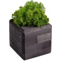 Декоративная композиция GreenBox Black Cube, зеленый