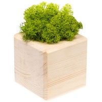 Декоративная композиция GreenBox Wooden Cube, зеленый