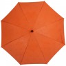 Зонт-трость Magic с проявляющимся цветочным рисунком, оранжевый - 