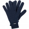 Перчатки Alpine, темно-синие - 
