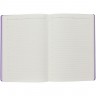 Ежедневник Flexpen, недатированный, серебристо-фиолетовый - 